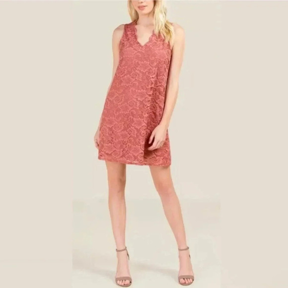 Francesca's Dusty Rose Lace Cut Out Mini Dress Sweet & Chic Size Medium - Picture 3 of 9